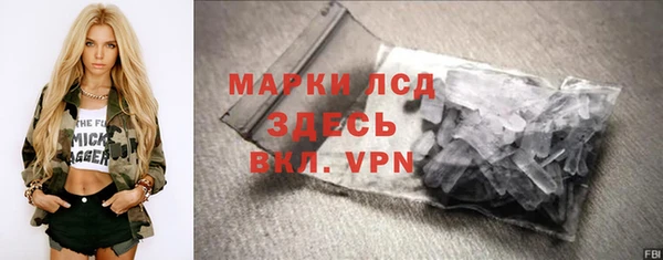 гашик Тайга