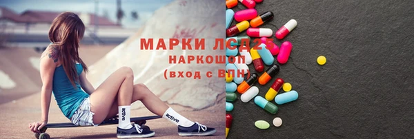 гашик Тайга
