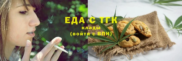 гашик Тайга