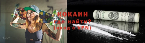 гашик Тайга
