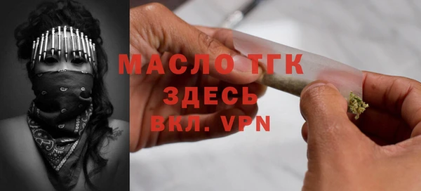 гашик Тайга