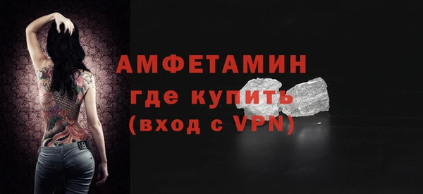 гашик Тайга