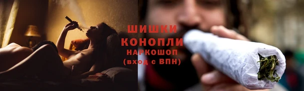 прущие крисы Сясьстрой