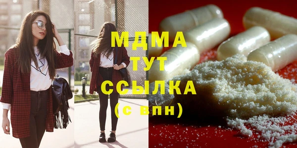 гашик Тайга