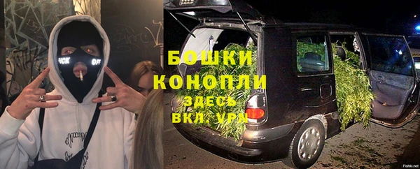 дурь Нягань