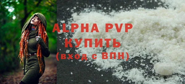 гашик Тайга
