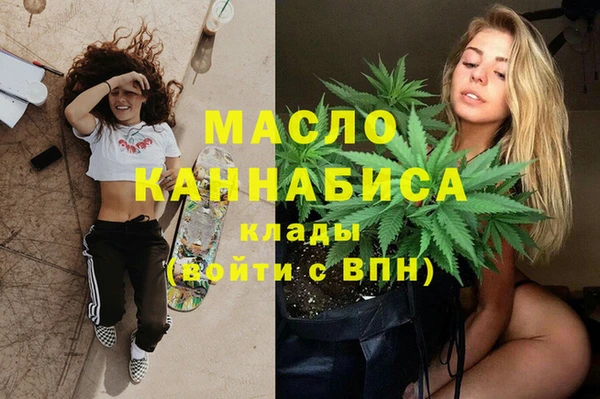 гашик Тайга