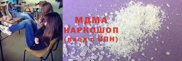 гашик Тайга