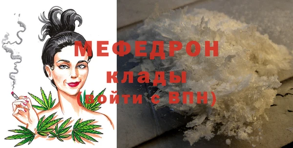гашик Тайга