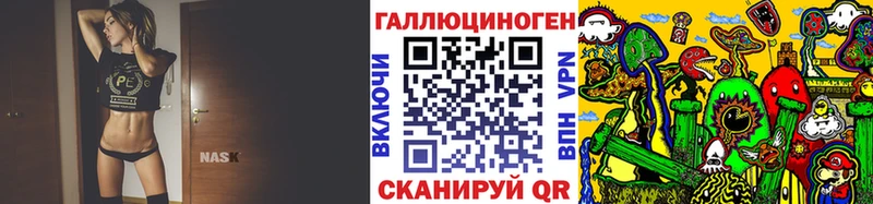 Псилоцибиновые грибы Psilocybe  Чегем 